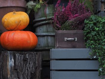 Autumn decoration with pumpkins, heather outside the flower shop. halloween and thanksgiving day. 