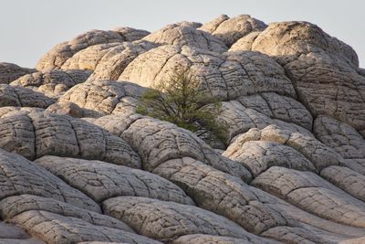 Rock formation and single tree at sunrise