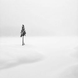 Umbrella on snow covered field