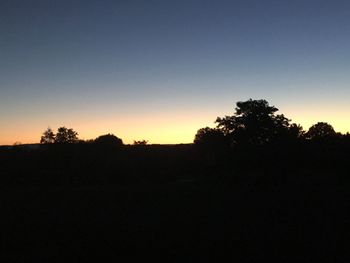 Silhouette trees against sky during sunset