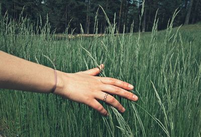 Midsection of man touching grass on field