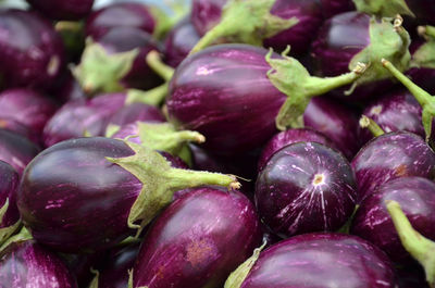 Full frame shot of eggplants