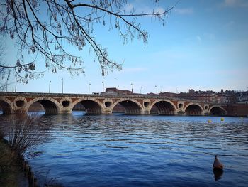 Birds on bridge over river against sky