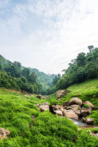 Scenic view of landscape against sky