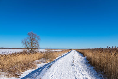 Snow covered field against clear blue sky