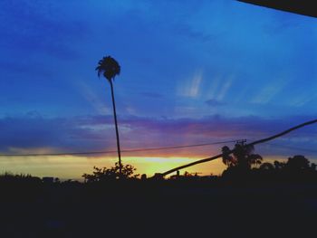 Silhouette of trees at sunset