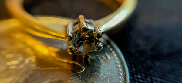 High angle view of insect on metal