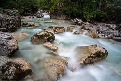 Stream flowing through rocks in forest