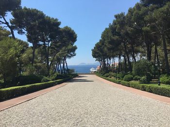 Empty road with trees in background