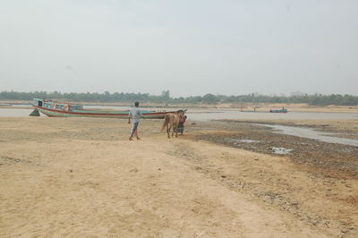 People walking on beach against sky