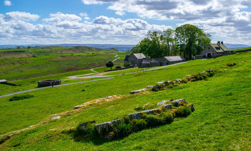 Scenic view of grassy field against sky