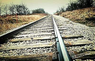 Railroad tracks in the forest