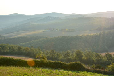 Scenic view of landscape against sky