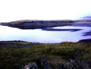 Close-up of grass against sky
