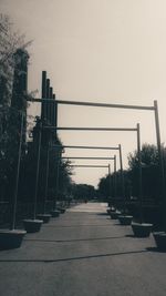 Trees against sky during sunset