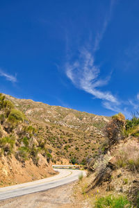 Road amidst plants against sky