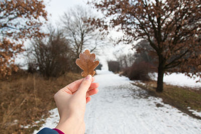 Cropped image of hand holding oak leaf on road during winter