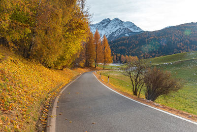 Road amidst trees against sky