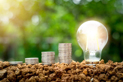 Close-up of light bulb against stone wall