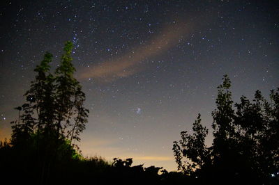 Low angle view of silhouette trees against sky at night