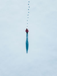 High angle view of jellyfish against blue background