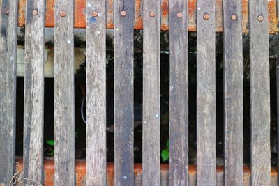 Full frame shot of wet fence