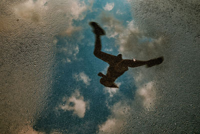 High angle view of man swimming in sea