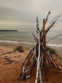 Dead tree on beach against sky