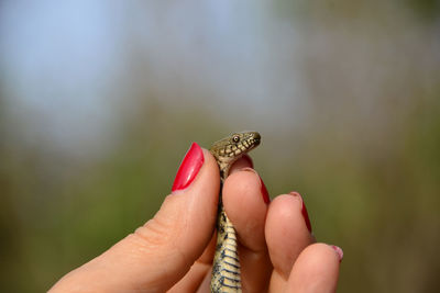 Woman holding snake in hand with blurred background