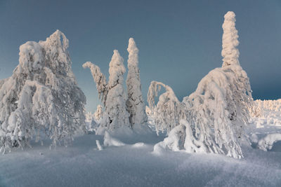 Scenic view of snow covered land against sky