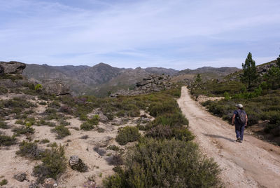 Scenic view of mountain trail.