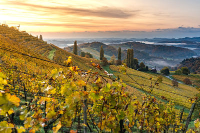 Autumn view from south styrian route in austria at hills in slovenia during sunraise. autumn