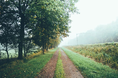 Scenic view of grassy field