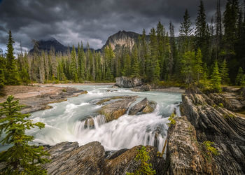 Scenic view of stream flowing through rocks in forest against sky