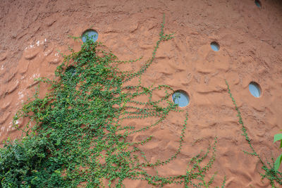 High angle view of sand on land