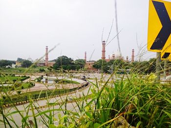 Plants growing on field