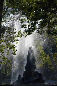 Scenic view of waterfall