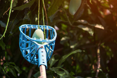 Low angle view of decoration hanging on tree