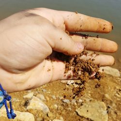 Cropped image of hand with dirt