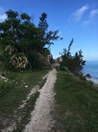 Road amidst trees and sea against sky