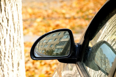 Reflection of car on side-view mirror