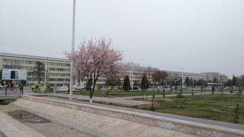 Trees by footpath against buildings in city against clear sky