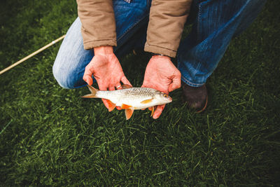 Low section of man holding fish on land