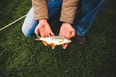 Low section of man holding leaf on land