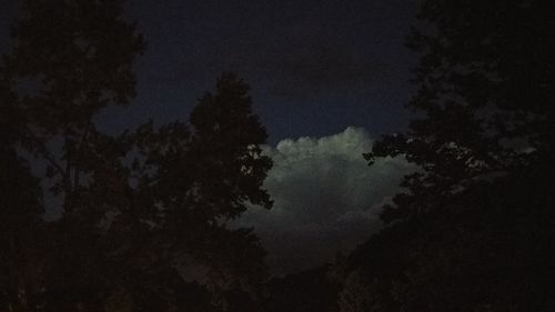 Low angle view of silhouette trees against sky at night