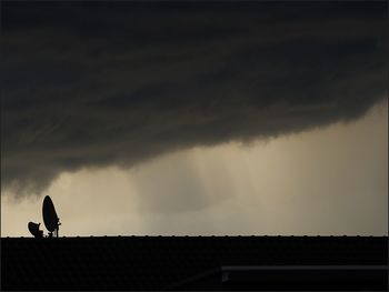 Silhouette birds on roof of building against sky