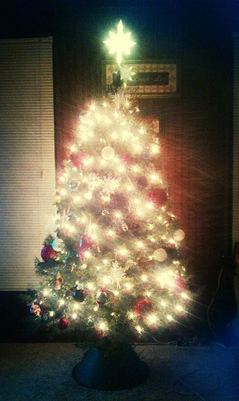 Christmas tree old pic 2012