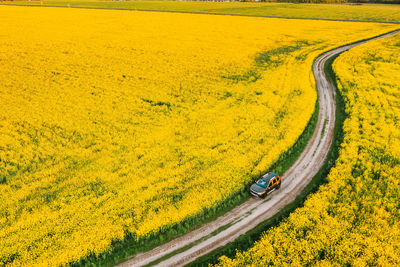 High angle view of agricultural field