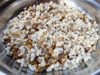 Close-up of rice in container