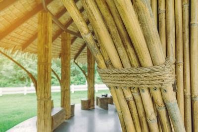 Close-up of bamboo on table